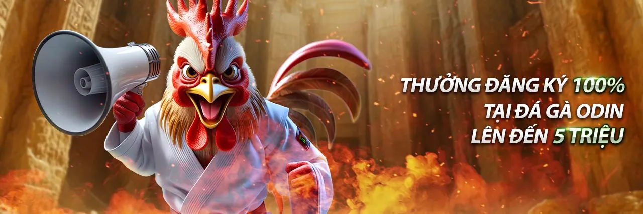 Hình ảnh giới thiệu w188vn – Nền tảng cá cược trực tuyến hàng đầu Việt Nam